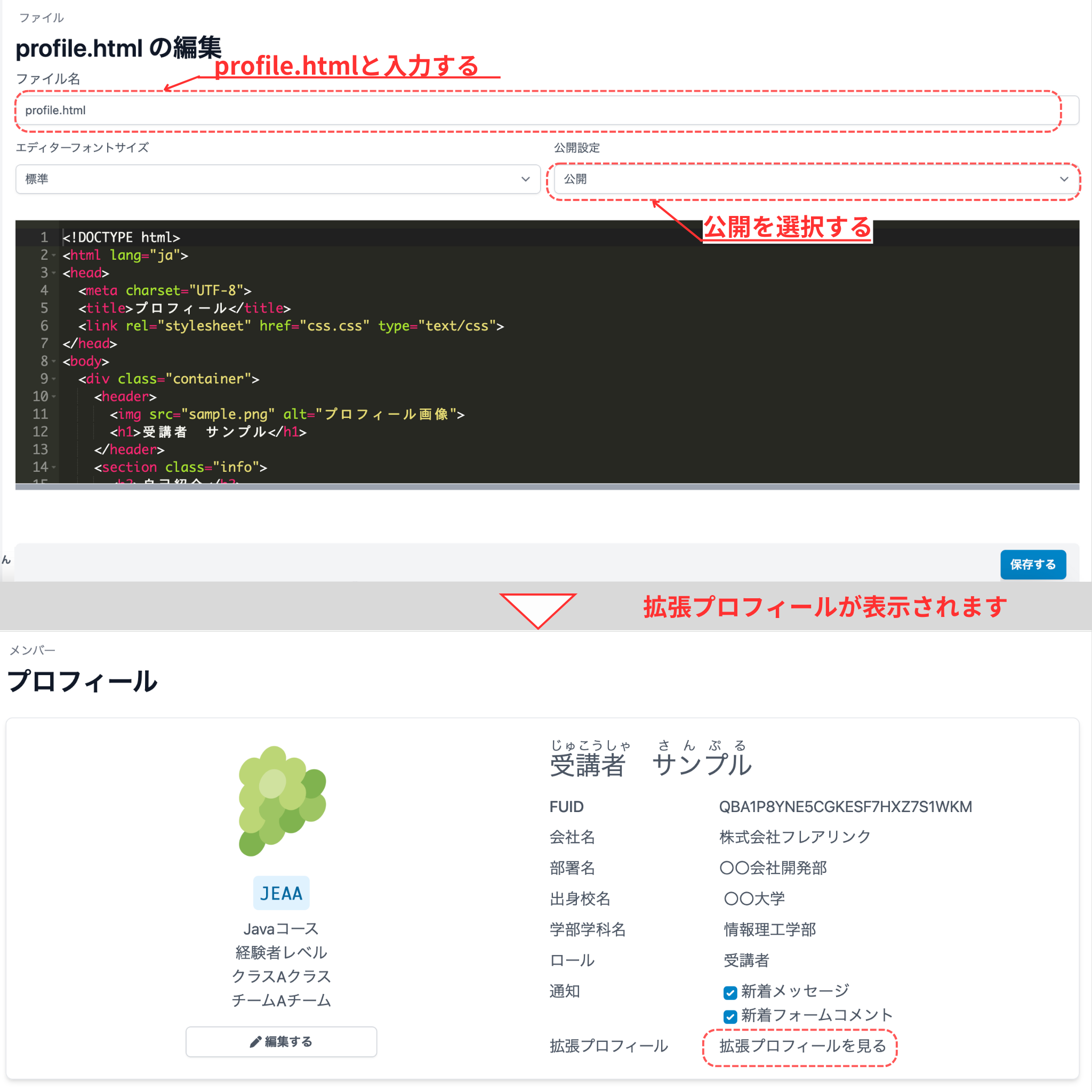 プロフィール