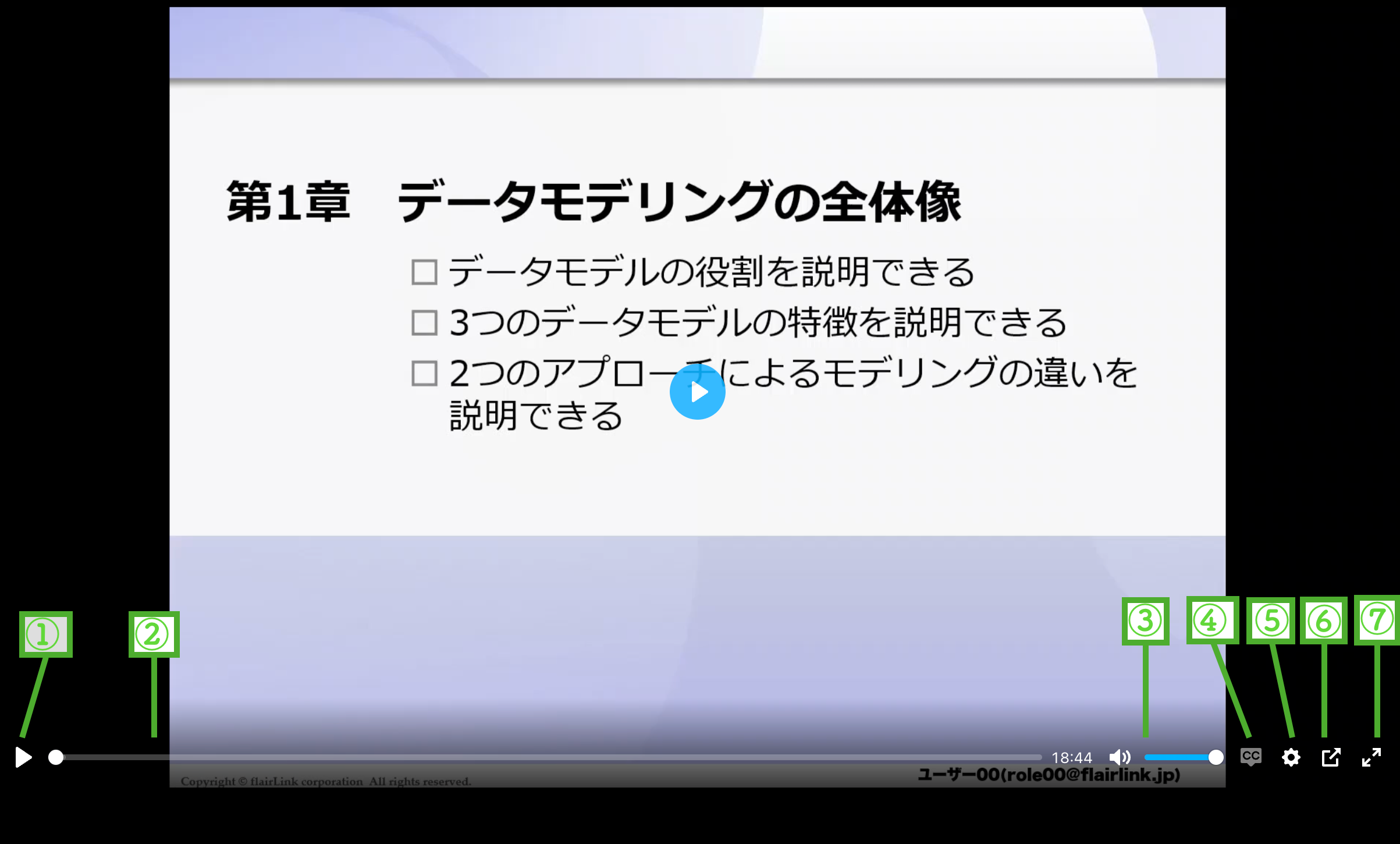 動画画面